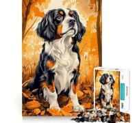 Rompecabezas de 1000 Piezas Cavalier King Charles Spaniel Entre Hojas de otoño Juego Creativo de Corte Suave Juguete para Momentos de Ocio y relajación (50x75cm)
