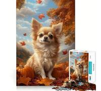 Rompecabezas de 1000 Piezas Chihuahua en un Paisaje otoñal con Calabazas Juguete para ejercitar la Mente y Las articulaciones Ideal para Momentos de Paz y diversión Pieza de Arte navideña (38x26cm)