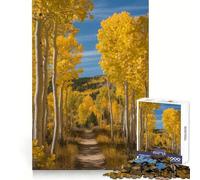 Rompecabezas de 1000 Piezas con álamos temblones en otoño a lo Largo de un Sendero para adultosEstimula la menteUn pasatiempo relajanteUn Regalo Original y práctico (38x26cm)