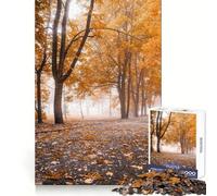 Rompecabezas de 1000 Piezas con árboles de otoño en un Parque para adolescentesPiensa Que el Tiempo de Entrenamiento está Bien empleadoBordes definidosRegalo Festivo (38x26cm)