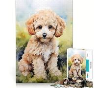 Rompecabezas de 1000 Piezas con diseño de Cachorro de caniche en Acuarela para Adolescentes Rompecabezas con Efecto de Memoria, luz Relajante y diseño de Imagen (38x52cm)
