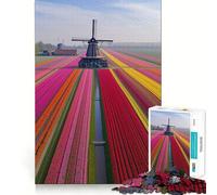 Rompecabezas de 1000 Piezas con diseño de Campos de Tulipanes de los Países Bajos para Adolescentes Juguete para ejercitar la Mente Fácil de armar Regalo Elegante (50x75cm)