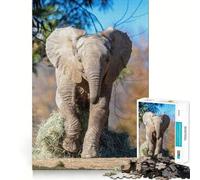 Rompecabezas de 1000 Piezas con diseño de Elefante Corriendo de Zoopar para Adolescentes Juego Inteligente para Jugar en Grupo Imagen para armar y Decorar la Pared (50x75cm)