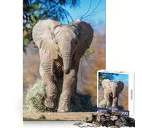 Rompecabezas de 1000 Piezas con diseño de Elefante Corriendo de Zoopar para Adolescentes Juego Inteligente para Jugar en Grupo Imagen para armar y Decorar la Pared (50x75cm)