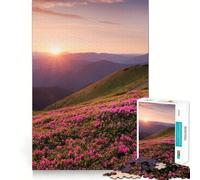 Rompecabezas de 1000 Piezas con diseño de Flores en Flor y Amanecer,Piezas de Ajuste preciso,Juego Divertido para concentrarse,Momento Acogedor y Divertido,decoración navideña 38x26cm