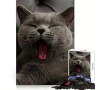 Rompecabezas de 1000 Piezas con diseño de Gato Gris bostezando Ideal para Adultos Relajarse y Pensar Bordes Bien definidos Regalo Divertido (50x75cm)