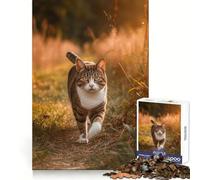 Rompecabezas de 1000 Piezas con diseño de Gato paseando al Atardecer,Ideal para Adolescentes,estimula la Mente,estimula el Ocio y Ofrece una Experiencia de Entretenimiento Perfecta Regalo