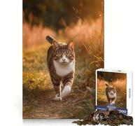 Rompecabezas de 1000 Piezas con diseño de Gato paseando al Atardecer para Adolescentes Ideal para Entrenamiento Inteligente,Ocio y Entretenimiento Corte Impecable (38x26cm)