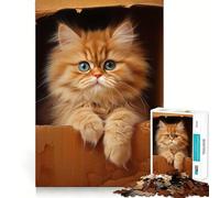 Rompecabezas de 1000 Piezas con diseño de Gato Persa en Caja de cartón para Adolescentes Juguete para ejercitar la Mente Regalo de Temporada Ideal para un Momento de Tranquilidad (38x26cm)