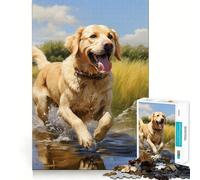 Rompecabezas de 1000 Piezas con diseño de Labrador Retriever Amarillo para Adultos,Juego de Memoria y concentración,Ajuste, Compacto y Divertido para Jugar en Familia (38x52cm)