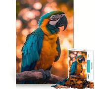 Rompecabezas de 1000 Piezas con diseño de Loro al Atardecer para Adultos Juego de ingenio, relajación Mental, Bordes Afilados, Regalo Premium (50x75cm)