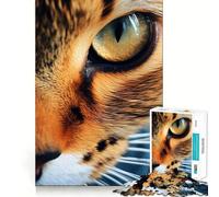 Rompecabezas de 1000 Piezas con diseño de Ojo de Gato en Primer Plano,Ajuste, Arte para estimular el Cerebro,Juego para el Tiempo de Descanso,Juego,Arte de Pared navideño (38x52cm)