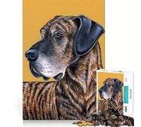 Rompecabezas de 1000 Piezas con diseño de Perro Gran Danés atigrado Ideal para divertirse y desarrollar la Agilidad Mental Momento de Tranquilidad Regalo de cumpleaños (38x52cm)