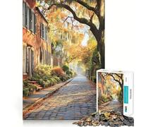 Rompecabezas de 1000 Piezas con diseño de Pintura del Distrito histórico de Savannah Georgia para Adolescentes Juguete de lógica sólida diversión Tranquila Corte de precisión Regalo increíble