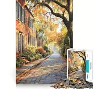 Rompecabezas de 1000 Piezas con diseño de Pintura del Distrito histórico de Savannah Georgia para Adultos Ideal para Fortalecer la Memoria divertirse y Disfrutar Un Regalo Elegante y de Calidad