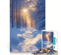 Rompecabezas de 1000 Piezas con diseño de Sendero Invernal en el Bosque Ideal para desarrollar la Creatividad y Evitar Piezas Sueltas Compartir en Familia (50x75cm)