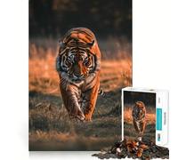 Rompecabezas de 1000 Piezas con diseño de Tigre al Atardecer, Animales y Adolescentes Juguete de lógica Resistente, diversión y Ocio Bordes Transparentes Arte Coleccionable 50x75cm