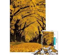 Rompecabezas de 1000 Piezas con diseño de un Camino arbolado otoñal Juego de ingenio para Adultos Regalo Ideal para la diversión Familiar Regalar a Amigos y Familiares (tamaño 38x26cm)