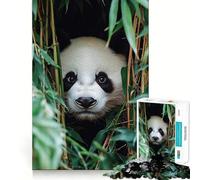 Rompecabezas de 1000 Piezas con diseño de un Panda asomándose Entre bambúes para Adultos Ideal para ejercitar la Memoria y Disfrutar de Momentos de Paz Regalo Premium para armar (38x52cm)