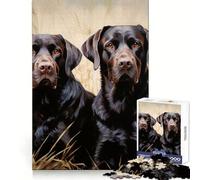 Rompecabezas de 1000 Piezas con Dos labradores para Adolescentes Ideal para ejercitar la Memoria, relajar la Mente y divertirse Bordes limpios Regalo Original (38x52cm)