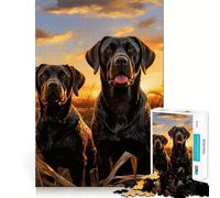 Rompecabezas de 1000 Piezas con Dos labradores Retriever Diseño artístico de Corte preciso Juego de lógica y Pensamiento Ideal para Relajarse y divertirse en cumpleaños (50x75cm)