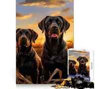Rompecabezas de 1000 Piezas con Dos labradores Retriever para Adultos Ejercicio cognitivo, Relajante y Divertido Sin Bordes ásperos (38x26cm)