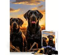 Rompecabezas de 1000 Piezas con Dos labradores Retriever para Adultos Ideal para Relajarse y desconectar Bordes Uniformes Un Bonito Regalo (50x75cm)
