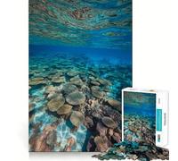 Rompecabezas de 1000 Piezas con fotografía de Paisaje Submarino de Arrecife de Coral Juego cognitivo Divertido Troquelado de Alta precisión aliviar el estrés (38x52cm)