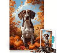 Rompecabezas de 1000 Piezas con Perro Pointer y Calabazas en una Escena otoñal para Adolescentes Juguete Mental para Momentos de Paz Regalo artístico (50x75cm)
