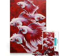Rompecabezas de 1000 Piezas con Pintura de pez Betta sobre Fondo Rojo Decoración de Ajuste Limpio Actividad para la Mente Inteligente Tiempo de Juego Acogedor Regalo Divertido de Navidad (50x75cm)