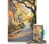 Rompecabezas de 1000 Piezas con Pintura del Distrito histórico de Savannah, Georgia, para Adultos Juguete Inteligente para el hogar Bordes Lisos Artículo de colección (50x75cm)