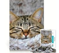 Rompecabezas de 1000 Piezas con Retrato de Gato atigrado durmiendo para Adolescentes Juguete para aliviar el estrés Diseño artístico y fácil de Usar 38x26cm