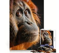Rompecabezas de 1000 Piezas con Retrato de orangután para Adolescentes Ideal para estimular la Memoria, Reducir el estrés y Crear un Ambiente artístico con Cortes Suaves (38x52cm)