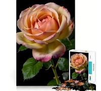 Rompecabezas de 1000 Piezas con Rosas Rosadas en Primer Plano para Adolescentes Ideal para estimular la Memoria, para el hogar y el Ocio Un Regalo Encantador (38x26cm)