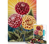 Rompecabezas de 1000 Piezas con Tres Flores de Dalia y Fondo de Rayos de Sol para Adultos Juguete de lógica Fuerte para aliviar la ansiedad Borde Transparente Regalo Ideal para Festivales 50x75cm
