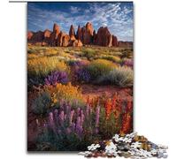 Rompecabezas de 1000 Piezas con un Paisaje desértico para Adultos Un Juego desafiante Ideal para Regalar a Toda la Familia 26x38cm
