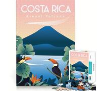Rompecabezas de 1000 Piezas Costa Rica Arte de Corte preciso Diversión cognitiva Juego Tiempo Libre Diversión Escena navideña Arte (50x75cm)