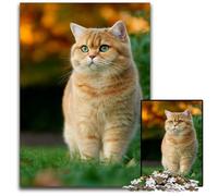 Rompecabezas de 1000 Piezas de Madera con diseño de Gato Naranja, Ideal para Juegos educativos, antiestrés y decoración del hogar, para niños de 14 años, 50x75cm