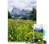 Rompecabezas de 1000 Piezas de Pradera Alpina con Fondo de Montaña Diversión sin Rebabas Piezas de Corte Limpio Actividad Absorbente para Noches tranquilas (38x26cm)