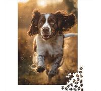Rompecabezas de 1000 Piezas de Springer Spaniel inglés, Rompecabezas Creativo Rectangular de Papel, Rompecabezas, Amigos y Familiares, 1000 Piezas (38 x 26 cm)