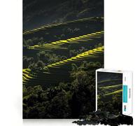 Rompecabezas de 1000 Piezas de terrazas de arroz en Vietnam para Adolescentes Refuerza la Memoria Divertido y Relajante Bordes Lisos Lista de Deseos de Papá Noel (38x26cm)