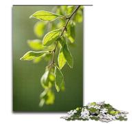 Rompecabezas de 1000 Piezas de Willow Catkins Flying para Adultos Ideal para Parejas y Adolescentes a Partir de 14 años 1000 Piezas (38 x 26 cm)