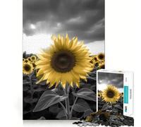 Rompecabezas de 1000 Piezas en Escala de Grises con diseño de Campo de Girasoles para Adolescentes Juguete cognitivo Disfruta Lentamente Borde Premium Elige tu Deseo de Papá Noel 38x26cm
