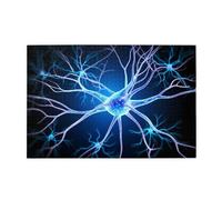 Rompecabezas de 1000 piezas, extensiones de neuronas Whjdpp, rompecabezas educativos, intelectuales, rompecabezas divertidos, rompecabezas para aliviar el estrés