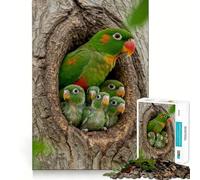 Rompecabezas de 1000 Piezas Familia de Loros en el Hueco de un árbol para Adultos Desarrolla la Capacidad Mental y te Mantiene entretenido Bordes precisos (38x52cm)