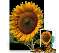 Rompecabezas de 1000 Piezas Girasol Belleza Primer Plano para Adolescentes Juguete de lógica Mental Tiempo Libre Bordes Finos 50x75cm