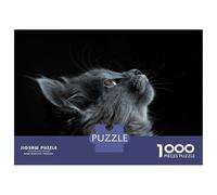 Rompecabezas De 1000 Piezas Gray Cat Portrait Rompecabezas para Adultos Juegos Relajantes Decoración del Hogar Cumpleaños Y Navidad 70x50cm/1000pcs
