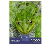 Rompecabezas De 1000 Piezas Green Frog in Pond Rompecabezas para Adultos Juego De Ingenio Difícil Difícil Único Cumpleaños Y Regalos 52x38cm/1000pcs