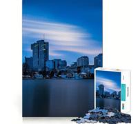 Rompecabezas de 1000 Piezas Horizonte de Viena al Atardecer para Adolescentes Juego Divertido con Encaje, Huecos Actividad Nocturna para Toda la Familia (50x75cm)
