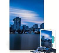 Rompecabezas de 1000 Piezas Horizonte de Viena al Atardecer para Adultos Juego de Memoria Cerebral Encaje Huecos Actividad Relajante para desconectar (38x52cm)